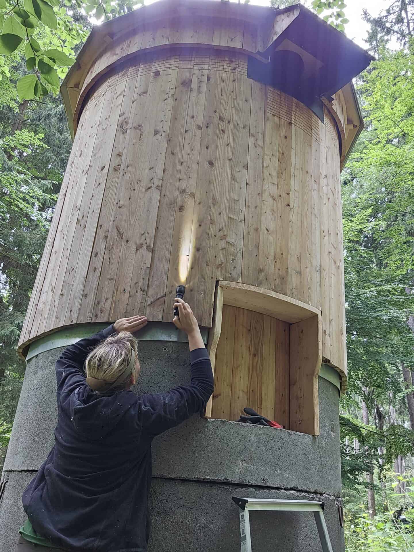 Inspection of the upper crown