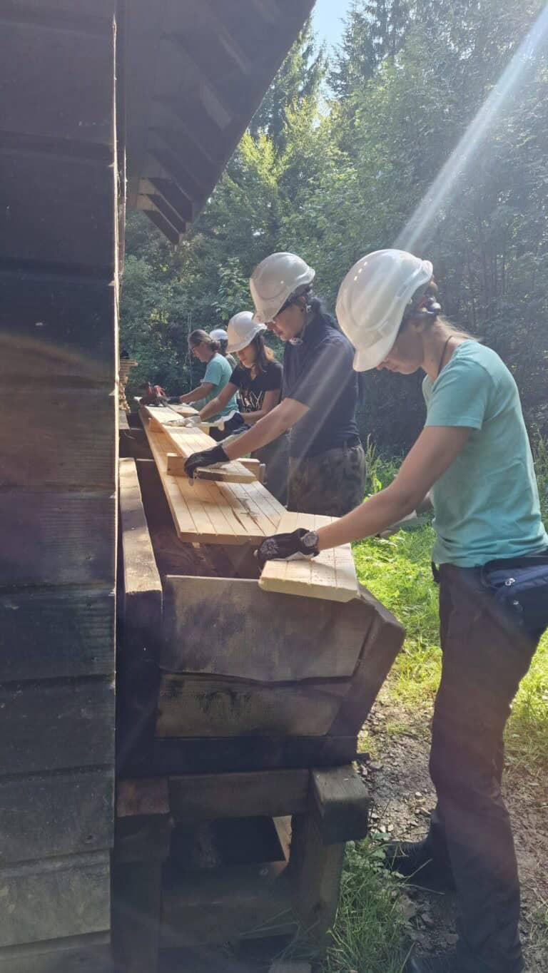 Międzynarodowe warsztaty ochrony nietoperzy w Baligrodzie