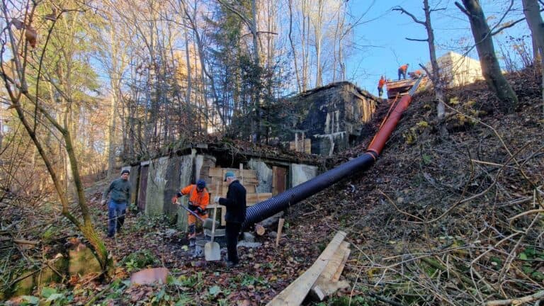 Wolontariusze dla podkowców w Iwoniczu-Zdroju