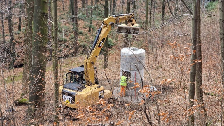 Ostatnie 20 chatek dla nietoperzy